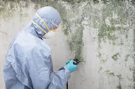 Mold Remediation for Vacation Homes in Westbury, NY